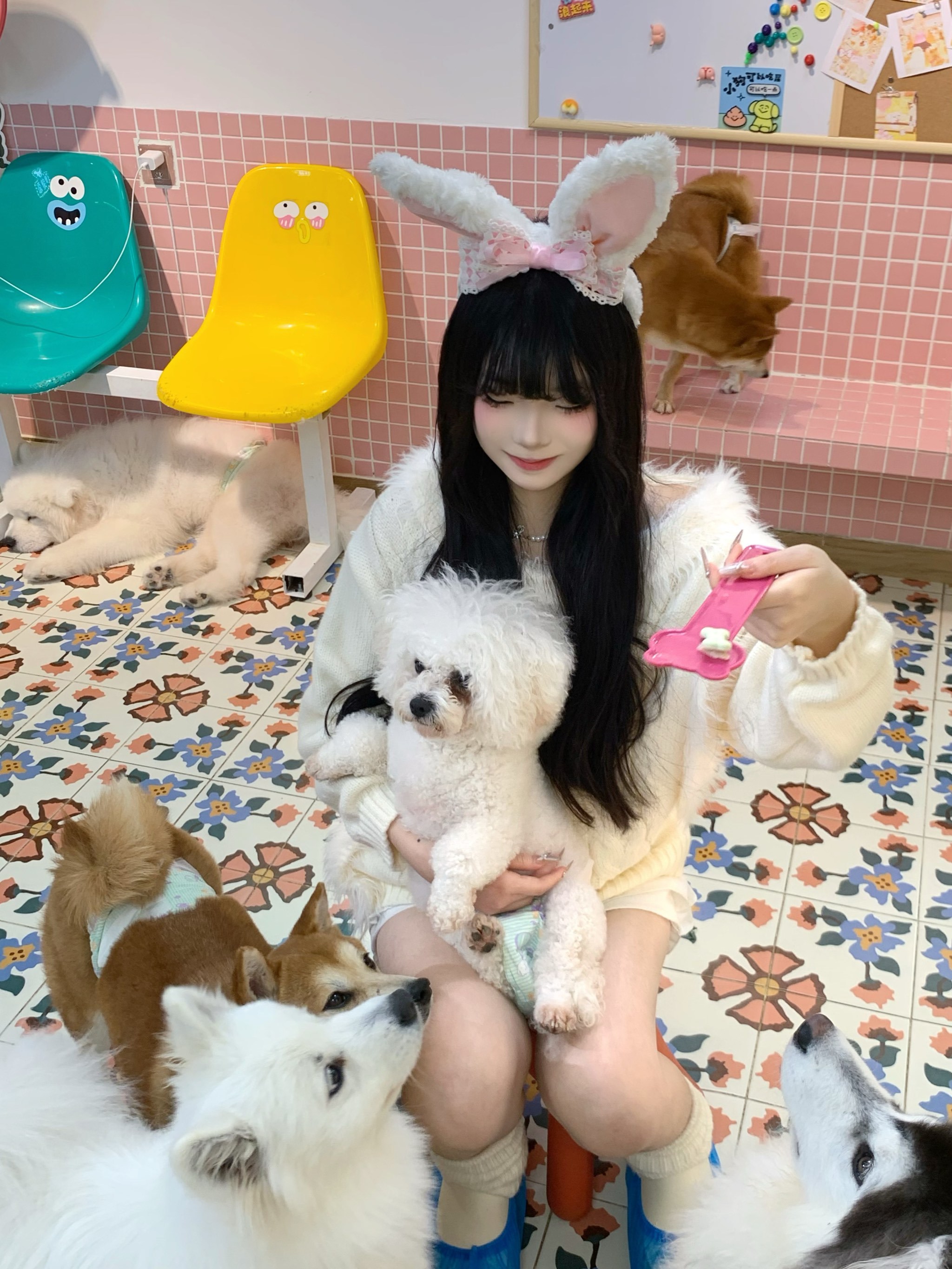 狗万max官方网站入口🦑- @❣️狗万Max平台官方直达通道揭秘🐗