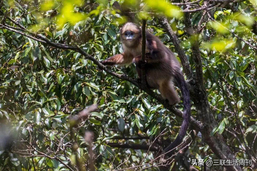 知识无界，共享未来，资料长期免费公开的官方版倡议✅✅✅免费资料大全+正版