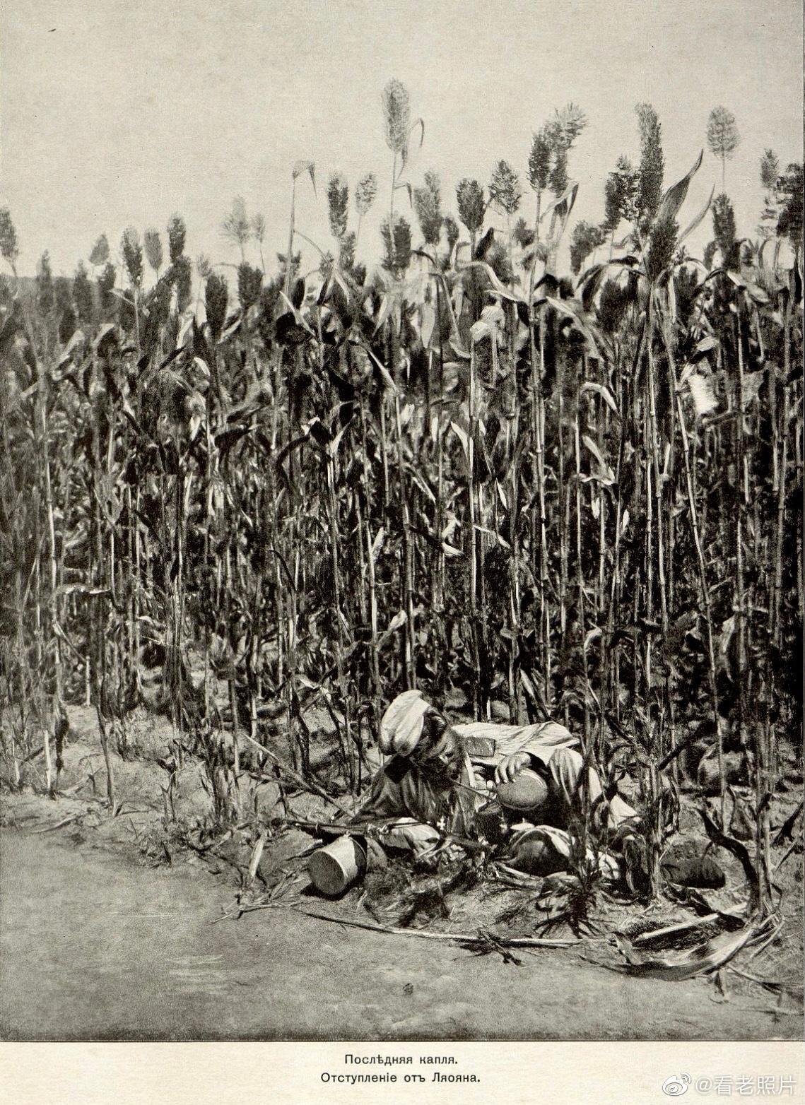 90彩票,网络彩票的梦幻与现实✅✅✅90彩票平台是真的吗 90彩票,网络彩票的梦幻与现实✅✅✅90彩票平台是真的吗