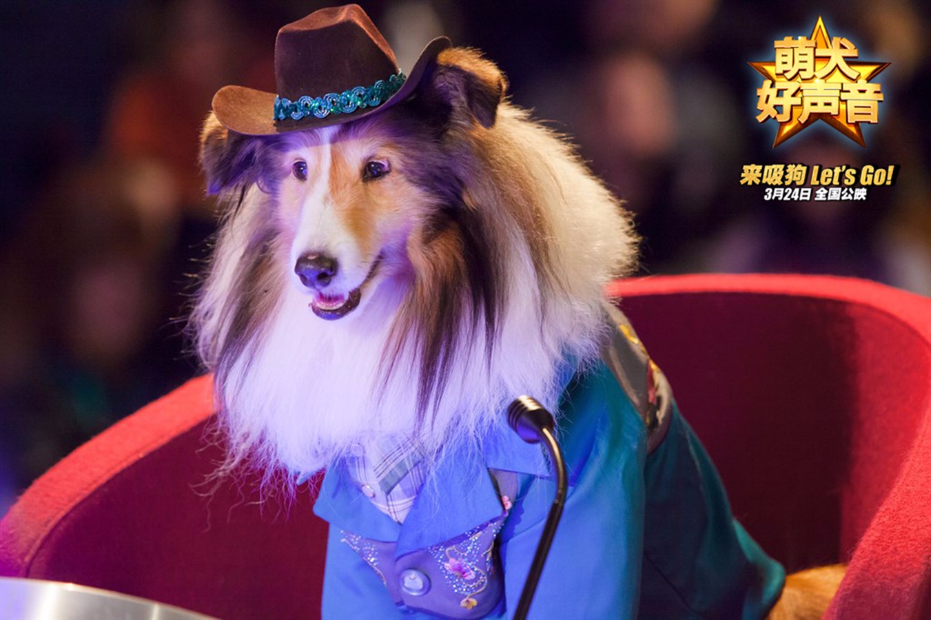 ✅✅✅ng大舞台梦你就来狗子歌曲背后的故事